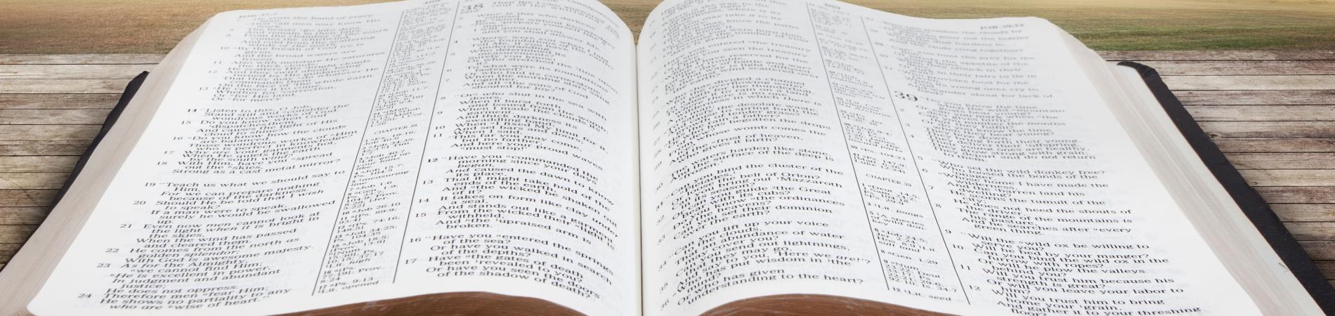bible
